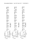 BAFF RECEPTOR (BCMA), AN IMMUNOREGULATORY AGENT diagram and image