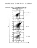 BAFF RECEPTOR (BCMA), AN IMMUNOREGULATORY AGENT diagram and image