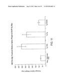 BAFF RECEPTOR (BCMA), AN IMMUNOREGULATORY AGENT diagram and image