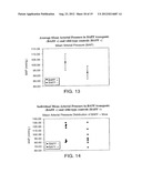 BAFF RECEPTOR (BCMA), AN IMMUNOREGULATORY AGENT diagram and image