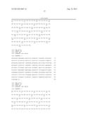 BAFF RECEPTOR (BCMA), AN IMMUNOREGULATORY AGENT diagram and image