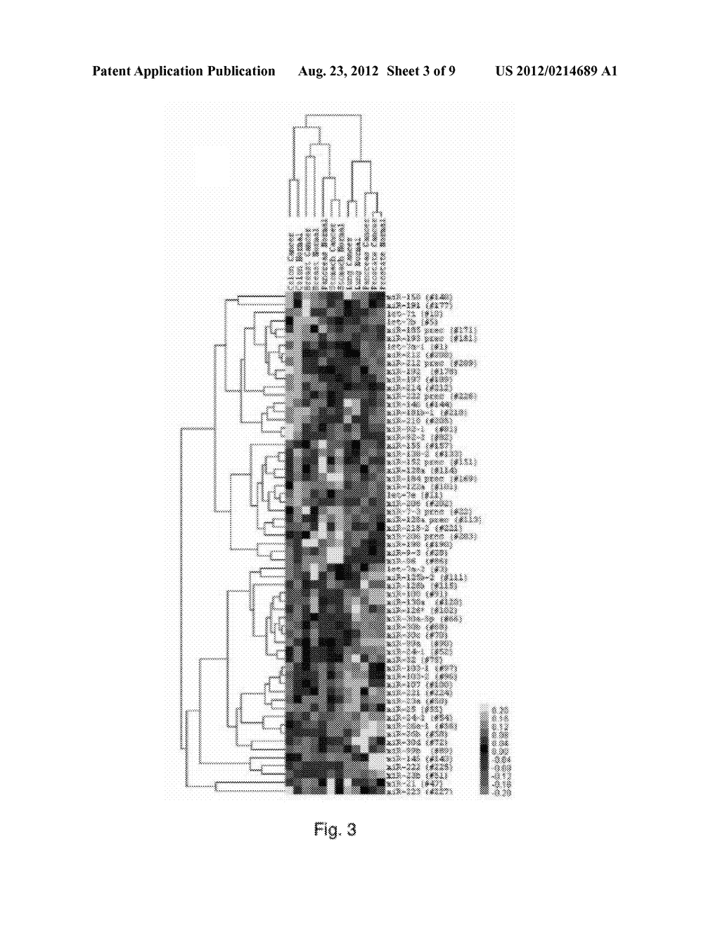 Methods for Diagnosing Breast and Lung Cancer Using miR-210 and miR-213 - diagram, schematic, and image 04