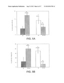 EX VIVO AND IN VIVO METHODS AND RELATED COMPOSITIONS FOR REGENERATING     HEMATOPOIETIC STEM CELL POPULATIONS diagram and image