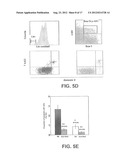 EX VIVO AND IN VIVO METHODS AND RELATED COMPOSITIONS FOR REGENERATING     HEMATOPOIETIC STEM CELL POPULATIONS diagram and image