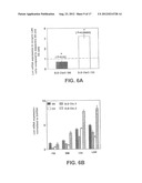 EX VIVO AND IN VIVO METHODS AND RELATED COMPOSITIONS FOR REGENERATING     HEMATOPOIETIC STEM CELL POPULATIONS diagram and image