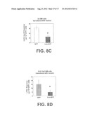 EX VIVO AND IN VIVO METHODS AND RELATED COMPOSITIONS FOR REGENERATING     HEMATOPOIETIC STEM CELL POPULATIONS diagram and image