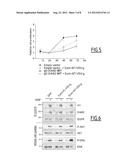 POLYPEPTIDES AND NUCLEIC ACIDS FOR TREATING ERBB2-DEPENDENT CANCERS diagram and image