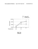 POLYPEPTIDES AND NUCLEIC ACIDS FOR TREATING ERBB2-DEPENDENT CANCERS diagram and image