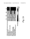 Methods and Compositions for Treating Cancer Using Proteasome Inhibitors diagram and image
