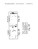 Methods and Compositions for Treating Cancer Using Proteasome Inhibitors diagram and image