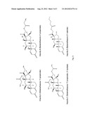 TOPICAL FORMULATIONS COMPRISING A STEROID diagram and image