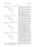 NOVEL COMPOUNDS THAT ARE ERK INHIBITORS diagram and image