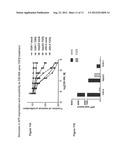 BIOLOGICAL MARKERS PREDICTIVE OF ANTI-CANCER RESPONSE TO INSULIN-LIKE     GROWTH FACTOR-1 RECEPTOR KINASE INHIBITORS IN HEPATOCELLULAR CARCINOMA diagram and image