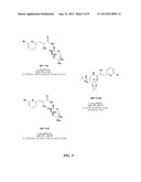 COMPOUNDS FOR TREATMENT OF CELL PROLIFERATIVE DISEASES diagram and image