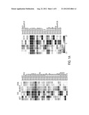 MIRNAS DYSREGULATED IN TRIPLE-NEGATIVE BREAST CANCER diagram and image