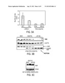 MIRNAS DYSREGULATED IN TRIPLE-NEGATIVE BREAST CANCER diagram and image