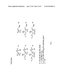 Modified L-Nucleic Acid diagram and image