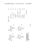 Modified L-Nucleic Acid diagram and image