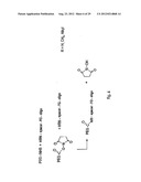 Modified L-Nucleic Acid diagram and image