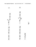 Modified L-Nucleic Acid diagram and image