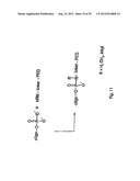 Modified L-Nucleic Acid diagram and image