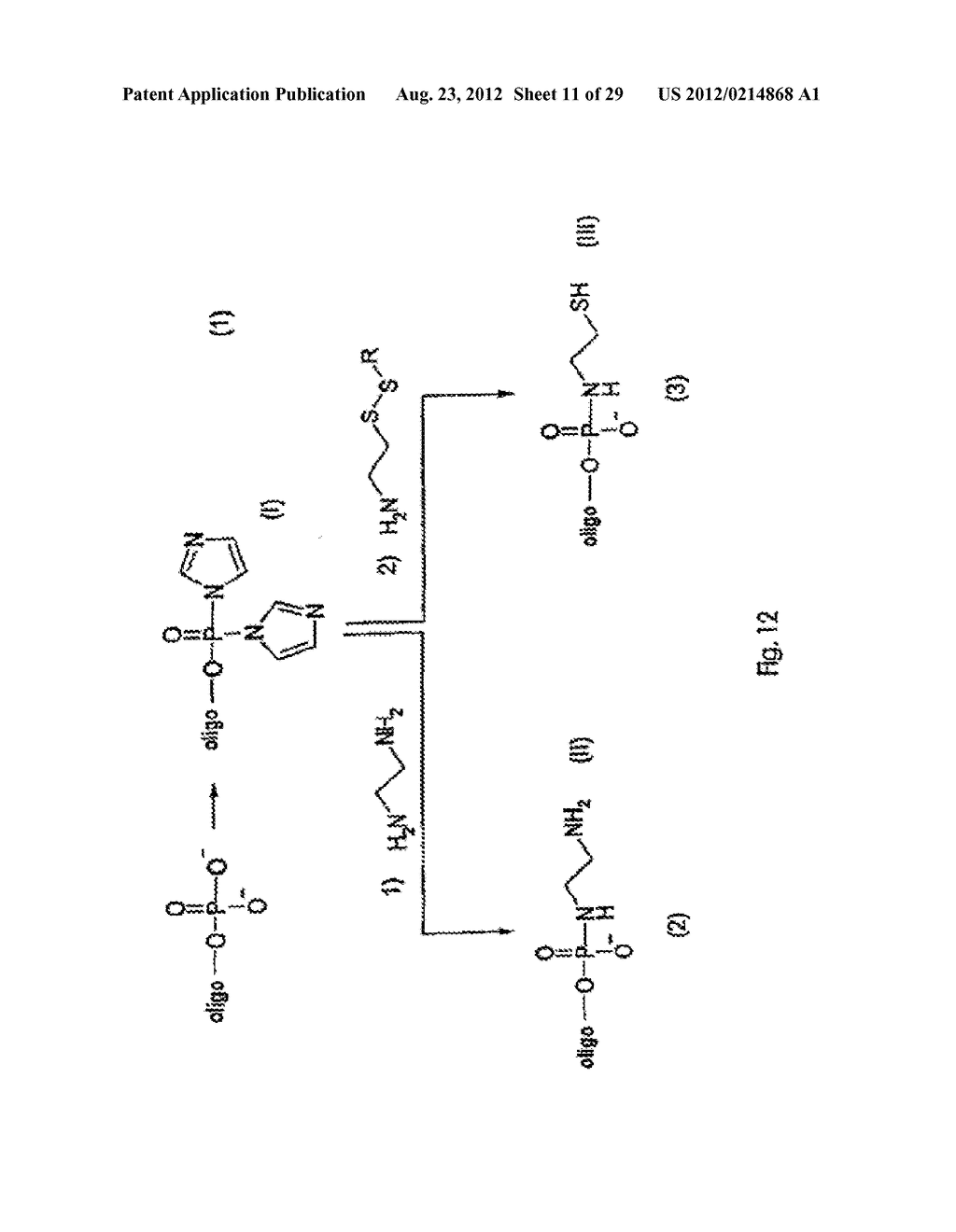 Modified L-Nucleic Acid - diagram, schematic, and image 12