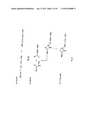 Modified L-Nucleic Acid diagram and image