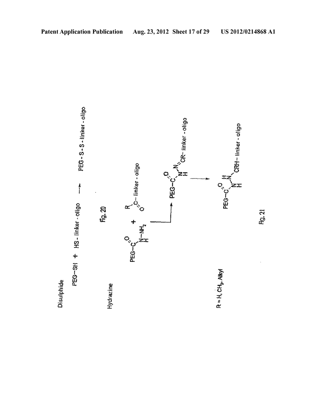 Modified L-Nucleic Acid - diagram, schematic, and image 18