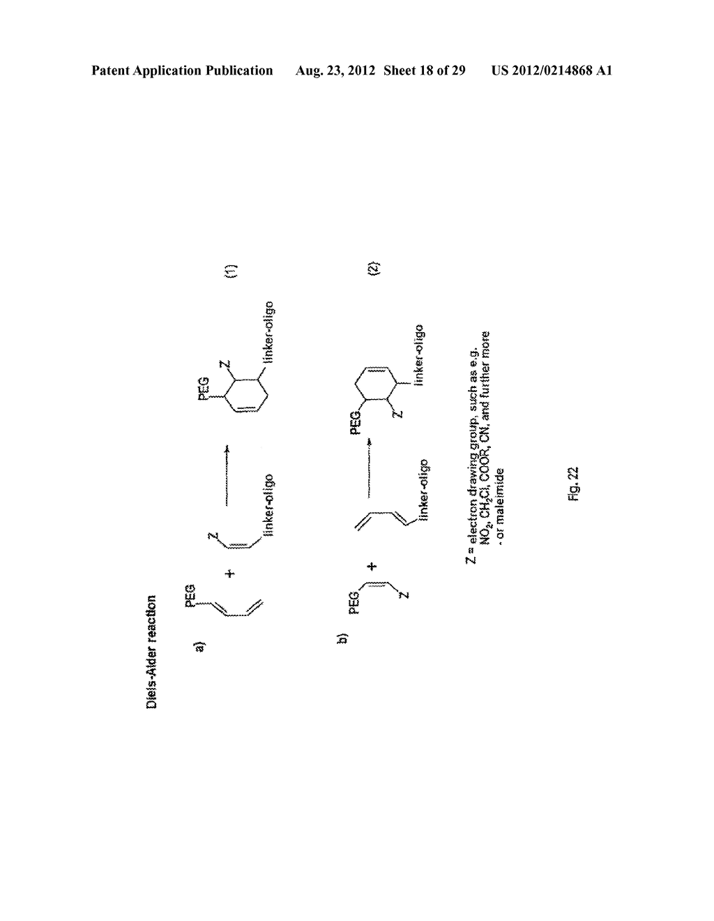 Modified L-Nucleic Acid - diagram, schematic, and image 19