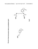 Modified L-Nucleic Acid diagram and image