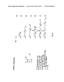 Modified L-Nucleic Acid diagram and image