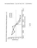 Modified L-Nucleic Acid diagram and image