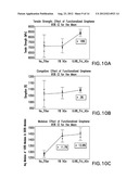 POLYMER NANOCOMPOSITE diagram and image