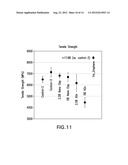 POLYMER NANOCOMPOSITE diagram and image