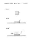 METHOD FOR PRODUCING POWDER MOLDED PRODUCT AND POWDER MOLDED PRODUCT diagram and image