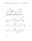 Preparation of phalloidin and its derivatives diagram and image