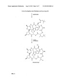 Preparation of phalloidin and its derivatives diagram and image