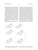 METHODS AND COMPOUNDS FOR PREPARING 3ALPHA-OXYGEN SUBSTITUTED STEROIDS diagram and image