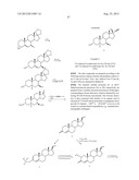 METHODS AND COMPOUNDS FOR PREPARING 3ALPHA-OXYGEN SUBSTITUTED STEROIDS diagram and image