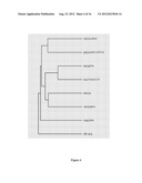 SYNTHESIS OF LONG-CHAIN POLYUNSATURATED FATTY ACIDS BY RECOMBINANT CELLS diagram and image