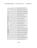 SYNTHESIS OF LONG-CHAIN POLYUNSATURATED FATTY ACIDS BY RECOMBINANT CELLS diagram and image