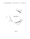 SYNTHESIS OF LONG-CHAIN POLYUNSATURATED FATTY ACIDS BY RECOMBINANT CELLS diagram and image