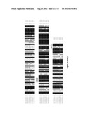 SYNTHESIS OF LONG-CHAIN POLYUNSATURATED FATTY ACIDS BY RECOMBINANT CELLS diagram and image