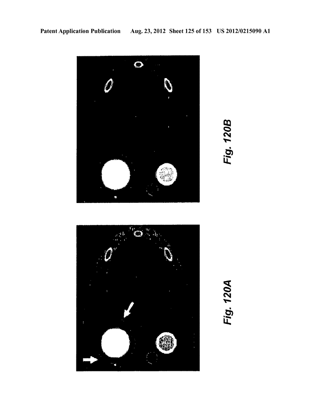 IMAGING SYSTEM - diagram, schematic, and image 126