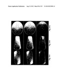 IMAGING SYSTEM diagram and image