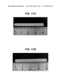 BIOABSORBABLE MULTILAYER NASAL VALVE SPREADER GRAFT diagram and image