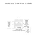 COMPUTER METRICS SYSTEM AND PROCESS FOR IMPLEMENTING SAME diagram and image