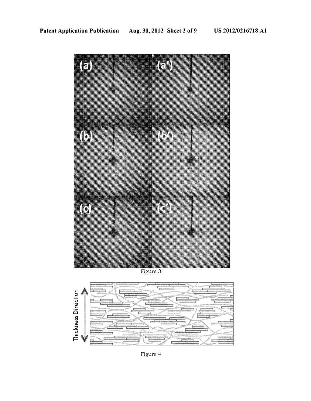 Strong Nanopaper - diagram, schematic, and image 03