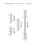 Method of Making Chamber with Tensile Member diagram and image