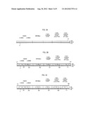 SEMICONDUCTOR DEVICE AND FABRICATION METHOD THEREOF diagram and image